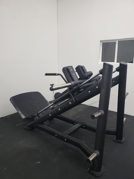 Kings Gym training floor with competition racks and calibrated plates